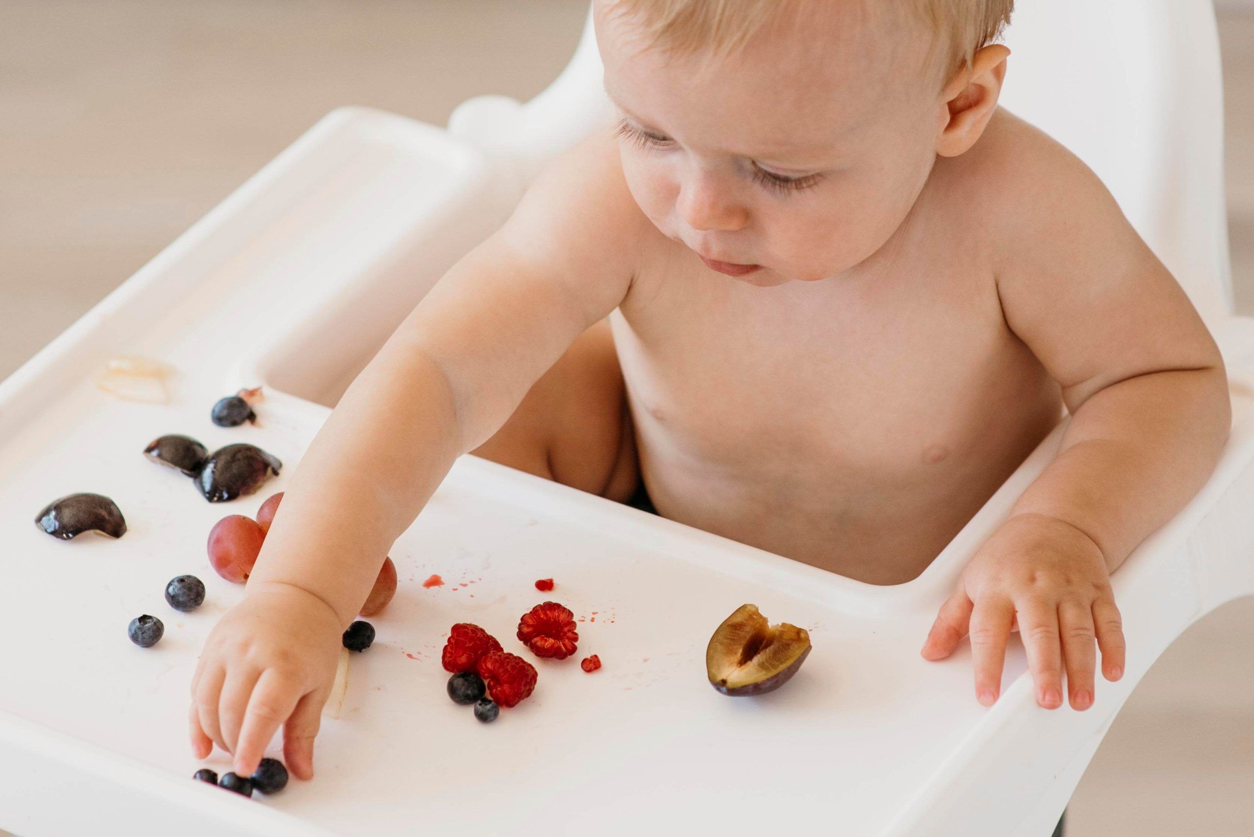 Lee más sobre el artículo Guía y recetas de Baby Led Weaning a partir de los 6 meses